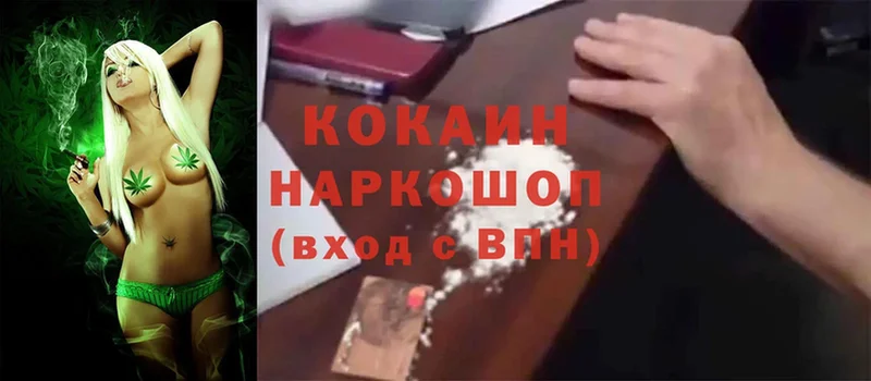 Где можно купить наркотики Отрадное Псилоцибиновые грибы  Cocaine  A-PVP  Марихуана  Мефедрон  Гашиш 